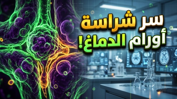 اختراق علمي سر غير متوقع يفسر لماذا تصبح أورام الدماغ أكثر شراسة