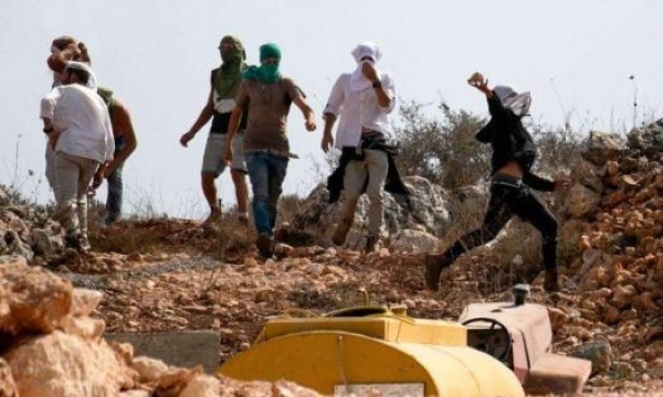 مستوطن يهاجم أطفالا في ملعب قرية شقبا غرب رام الله