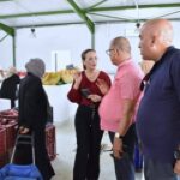 المكلفة بتسيير بلدية تونس في زيارة ميدانية للسوق البلدي بالزياتين إثر إعادة افتتاحه