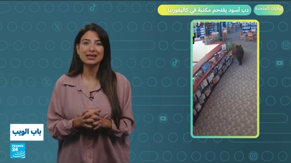 الولايات المتحدة دب أسود يقتحم مكتبة في كاليفورنيا الولايات المتحدة دب أسود يقتحم مكتبة في كاليفورنيا
