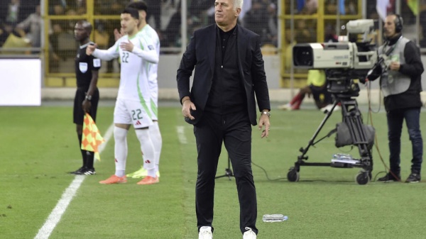 كأس العالم 2026 الجزائر تمدد عقد مدربها فلاديمير بيتكوفيتش حتى 2028 كأس العالم 2026 الجزائر تمدد عقد مدربها فلاديمير بيتكوفيتش حتى 2028