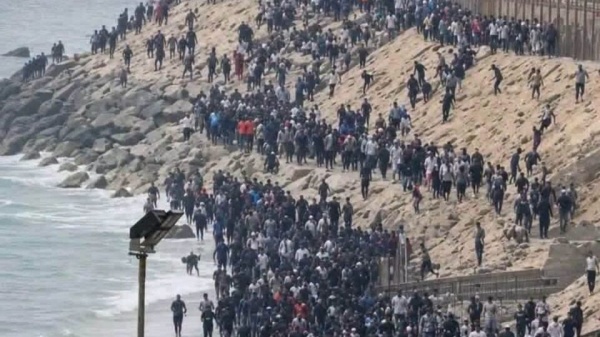 خبير لا علاقة بين زيارة سانشيز إلى الجزائر وموجة الهجرة إلى سبتة والربط بينهما متعسف خبير لا علاقة بين زيارة سانشيز إلى الجزائر وموجة الهجرة إلى سبتة والربط بينهما متعسف