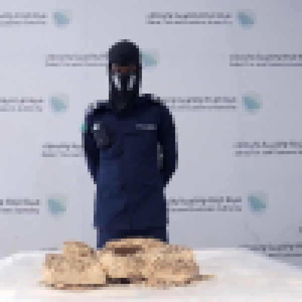جمرك الحديثة ي حبط محاولة تهريب 51 163 حبة من مادة الإمفيتامين المخدر الكبتاجون جمرك الحديثة ي حبط محاولة تهريب 51 163 حبة من مادة الإمفيتامين المخدر الكبتاجون