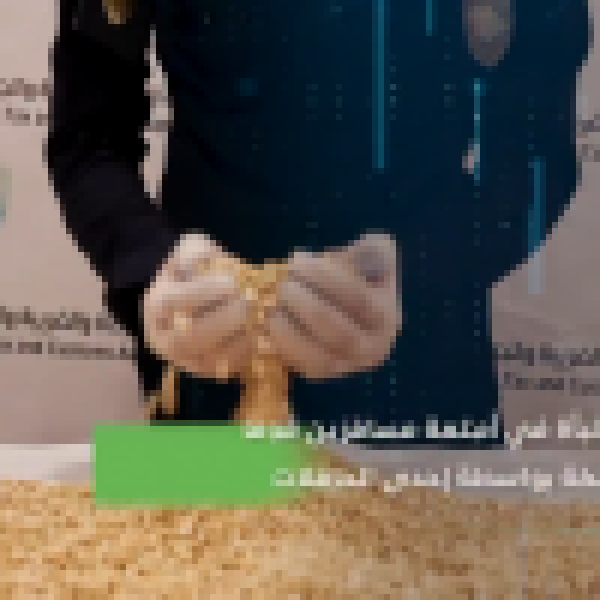 جمرك الحديثة ي حبط محاولة تهريب أكثر من 43 ألف حبة من مادة الإمفيتامين المخدر