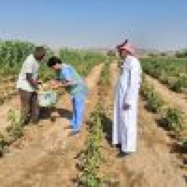 بيئة رابغ تواصل جمع العينات الزراعية لتعزيز سلامة المنتجات وحماية صحة المستهلك بيئة رابغ تواصل جمع العينات الزراعية لتعزيز سلامة المنتجات وحماية صحة المستهلك