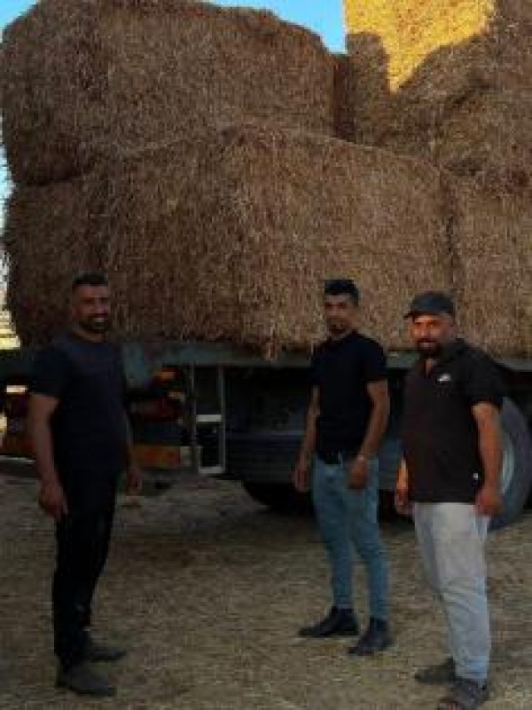 زراعة بيت لحم تنفذ تدخلا عاجلا لمربي الثروة الحيوانية في قرية كيسان