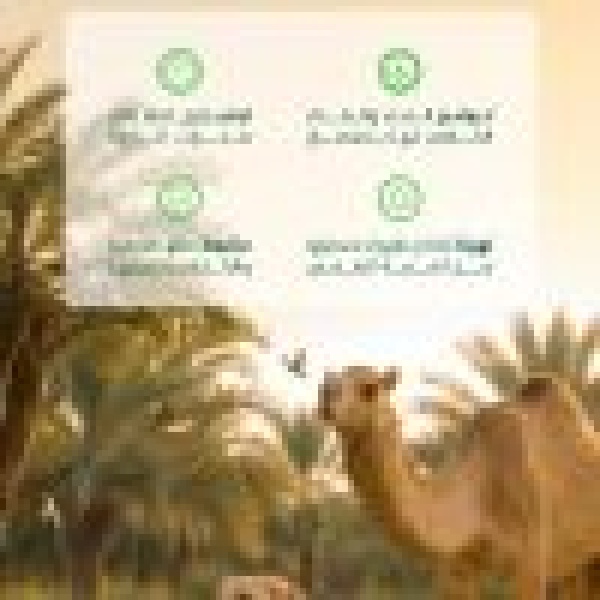 البيئة تحث م لاك الحيوانات الأليفة على اتخاذ تدابير حمايتها من حرارة الصيف البيئة تحث م لاك الحيوانات الأليفة على اتخاذ تدابير حمايتها من حرارة الصيف