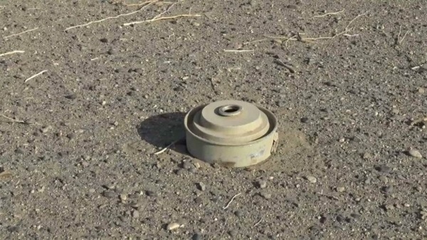 البيضاء مقتل طفلين وإصابة آخر جراء انفجار لغم حوثي في مديرية الزاهر