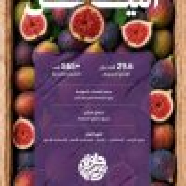 مزارع المملكة تنعش الأسواق المحلية بنحو 30 ألف طن من فاكهة التين مزارع المملكة تنعش الأسواق المحلية بنحو 30 ألف طن من فاكهة التين