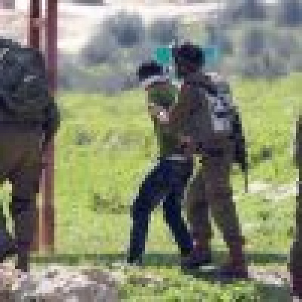 قوات الاحتلال الإسرائيلي تعتقل 15 فلسطيني ا من الضفة وتوفر الحماية للمستوطنين لاقتحام المسجد الأقصى المبارك والاعتداء على ممتلكات الأهالي قوات الاحتلال الإسرائيلي تعتقل 15 فلسطيني ا من الضفة وتوفر الحماية للمستوطنين لاقتحام المسجد الأقصى المبارك والاعتداء على ممتلكات الأهالي