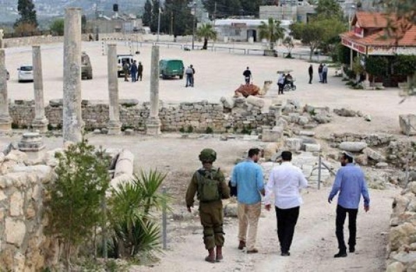 مستوطنون يقتحمون الموقع الأثري في سبسطية مستوطنون يقتحمون الموقع الأثري في سبسطية
