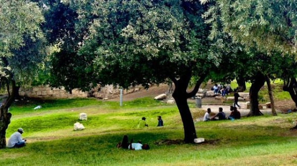 سياحة من نوع آخر سياحة من نوع آخر