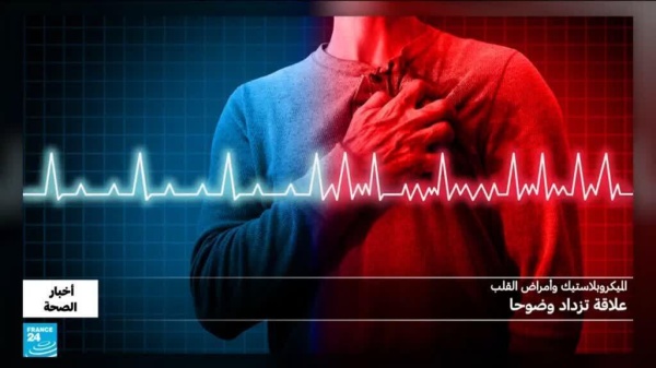 دراسة كيف يصل التلوث البلاستيكي إلى شراييننا دراسة كيف يصل التلوث البلاستيكي إلى شراييننا