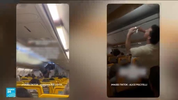 إيطاليا جيش من البعوض يغزو طائرتين ويؤخر رحلات الركاب لمدة ثلاث ساعات إيطاليا جيش من البعوض يغزو طائرتين ويؤخر رحلات الركاب لمدة ثلاث ساعات