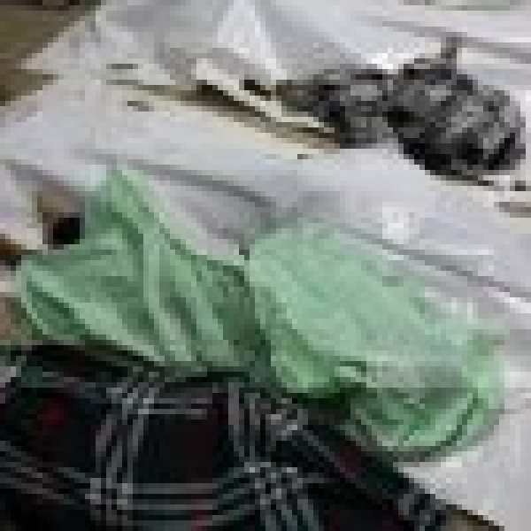 بينهم أطفال ونساء وعائلات بأكملها ارتفاع أعداد الشهداء الفلسطينيين بقطاع غزة إلى 73910 شهداء بينهم أطفال ونساء وعائلات بأكملها ارتفاع أعداد الشهداء الفلسطينيين بقطاع غزة إلى 73910 شهداء