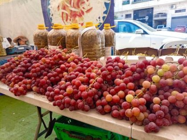 خاص مهرجان العنب في طولكرم يجمع منتجات متنوعة من عدة محافظات خاص مهرجان العنب في طولكرم يجمع منتجات متنوعة من عدة محافظات
