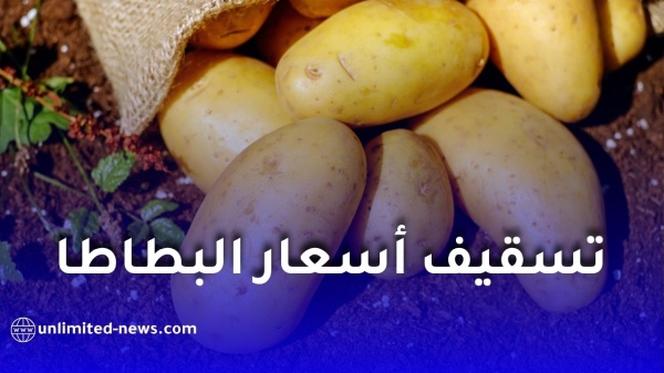 تسقيف أسعار البطاطا في الجزائر تحديد سعر البيع من الفلاح والمستهلك تسقيف أسعار البطاطا في الجزائر تحديد سعر البيع من الفلاح والمستهلك