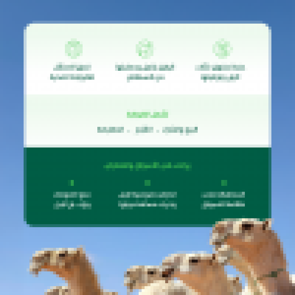 لتطوير القطاع وحماية حقوق المتعاملين البيئة تعتمد الضوابط التنظيمية للمتاجرة بالإبل في المملكة