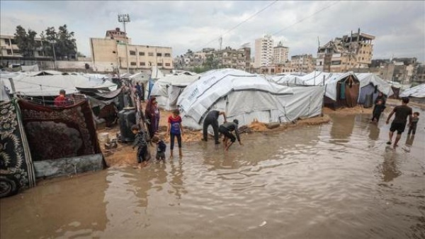 الصحة العالمية تحذر من ازدياد المخاطر الصحية في غزة مع اقتراب موسم الأمطار الصحة العالمية تحذر من ازدياد المخاطر الصحية في غزة مع اقتراب موسم الأمطار