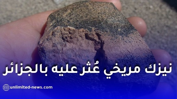 نيزك مريخي ع ثر عليه في الجزائر يكشف أسرار ا جديدة عن تاريخ الكوكب الأحمر نيزك مريخي ع ثر عليه في الجزائر يكشف أسرار ا جديدة عن تاريخ الكوكب الأحمر