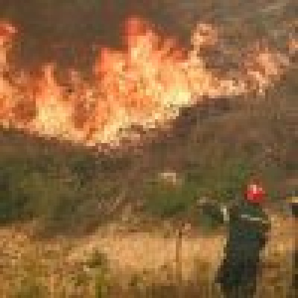 الأرصاد الجوية اليونانية تحذر من رياح عاتية وخطر شديد لاندلاع حرائق الغابات الأرصاد الجوية اليونانية تحذر من رياح عاتية وخطر شديد لاندلاع حرائق الغابات