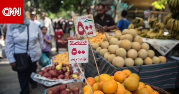 مصر حذف 850 ألف مستفيد من بطاقات التموين وطلبات إحاطة بشأن الضوابط مصر حذف 850 ألف مستفيد من بطاقات التموين وطلبات إحاطة بشأن الضوابط