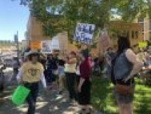 pro choice rally held at sonora s courthouse park
