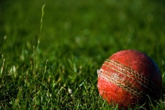cricket former australia international symonds dies in car crash reports