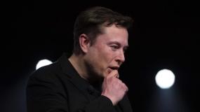 musk polls twitter users on amnesty for suspended accounts