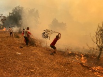 algeria court sentences dozens to death over forest fire lynching
