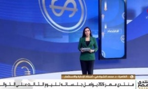 خبير اقتصادى: مصر تستهدف نموا بنسبة 5.4% عبر جذب الاستثمارات
