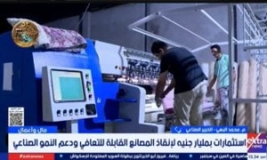خبير صناعي: صندوق المليار جنيه فرصة لإعادة تشغيل المصانع المتعثرة