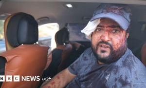 إصابة فلسطينيين وصحافية أمريكية في هجوم لمستوطنين إسرائيليين خلال قطف الزيتون بالضفة الغربية المحتلة