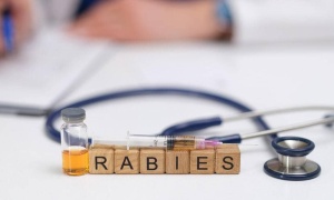 Misbranded rabies vaccines seized in Delhi: What was found, why it matters
