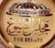 ماذا تفعل إذا لم تجد اسمك فى قائمة المرشحين لمجلس الشيوخ القانون يجيب