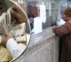 تعمل إيه لو بلغت سن التقاعد ولم تتوفر فيك شروط استحقاق المعاش