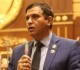 حماة الوطن زيارة الرئيس الصينى لمصر تؤكد مكانتها كجسر بين الشرق والغرب