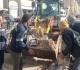 القانون يحدد ضوابط استخدام الزجاجات الفارغة وإدارتها اعرف التفاصيل