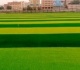 تطوير مراكز الشباب المنشآت الرياضية بالمحافظات لاكتشاف المواهب الرياضية
