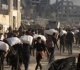 كمال حسنين مصر ثابتة على موقفها فى دعم فلسطين وترفض مخططات التهجير