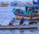 القانون يتصدى لعمليات الإضرار بمياه البحيرات وإعاقة الصيد اعرف التفاصيل