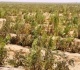 حبس وغرامة عقوبة إقامة محاجر على الأراضي الزراعية بالمخالفة للقانون
