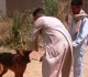 الحبس 6 أشهر وغرامة لا تزيد على مليون جنيه عقوبة التعدى على الغير بالكلاب