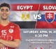 منتخب مصر لكرة اليد 2008 أمام سلوفاكيا لتحديد برونزية بطولة البحر المتوسط