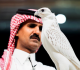 بيع صقر كندي في مزاد بالسعودية مقابل 1 3 مليون ريال
