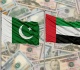 باكستان تسدد كامل ودائع الإمارات بقيمة 3 45 مليارات دولار