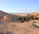 ممر اخضر سري كشف لغز هجرة الانسان العاقل من افريقيا