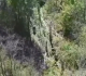 new ukrainian kursk assault repelled chechen leader video