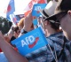 labeling the afd extremist will backfire terribly