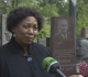 global peace must be a deliberate effort south african defense minister